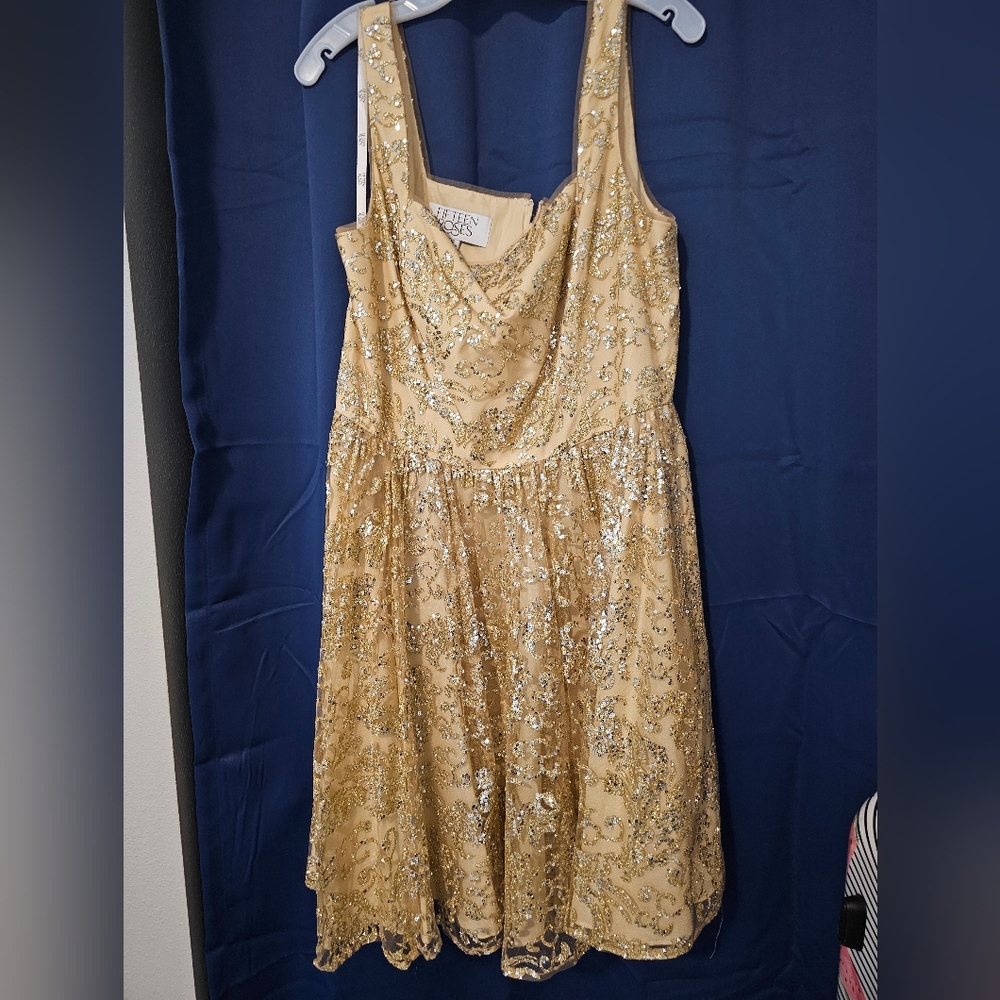 Fifteen Roses gold sequin dress